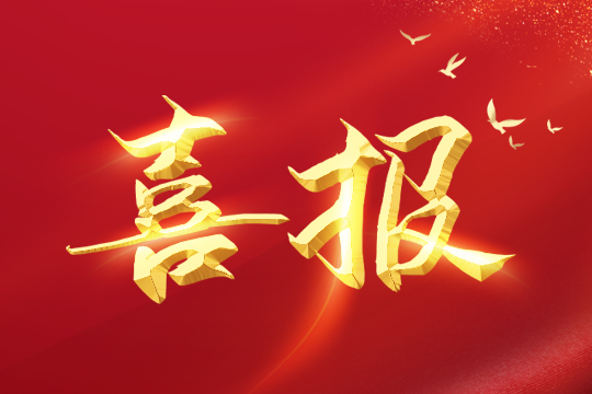 喜报 | leyu乐鱼led球形屏成功入围“深圳企业创新纪录”！ 